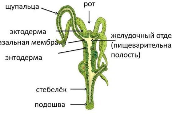 Не работает mega sb сегодня